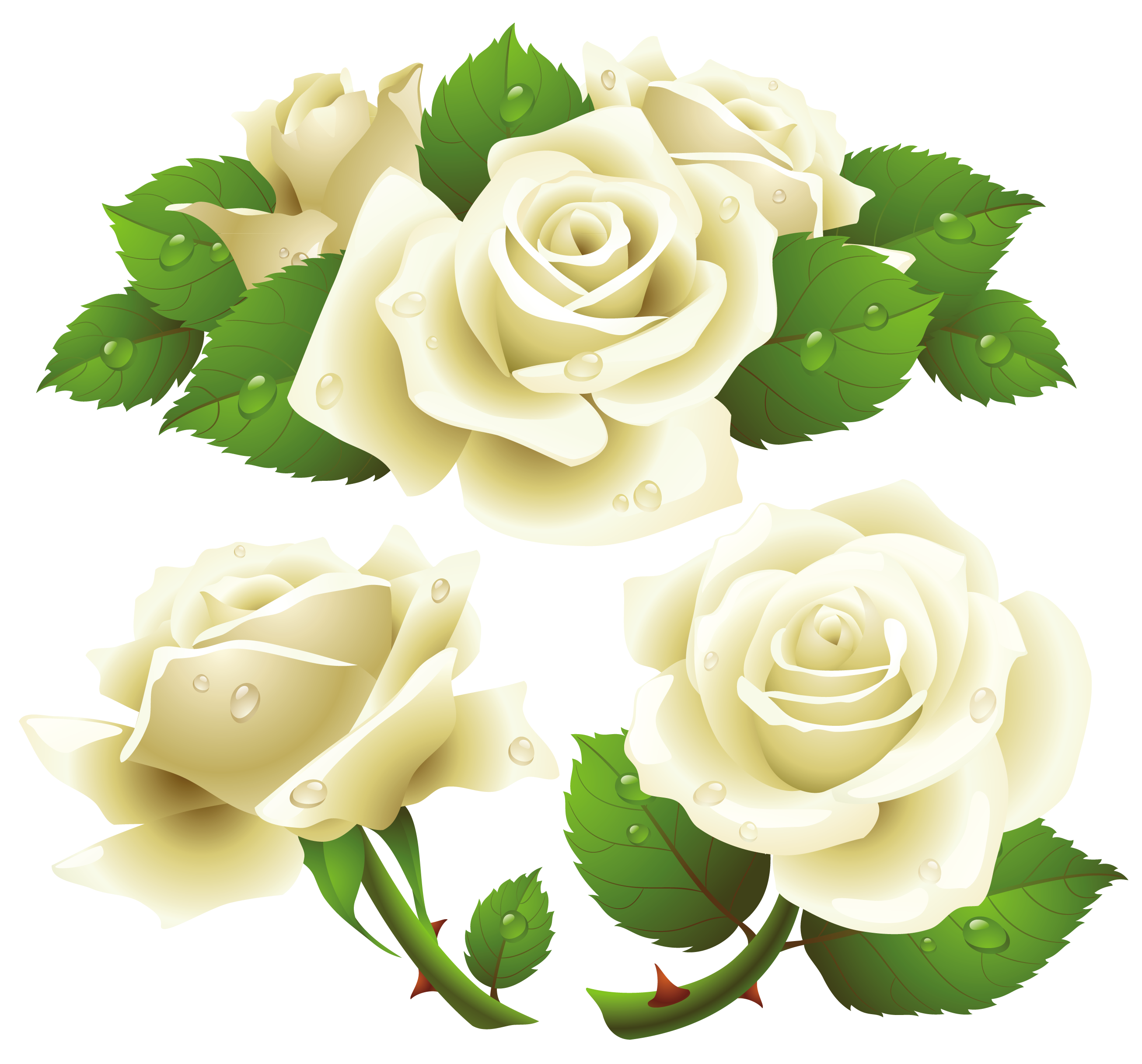 Transparent White Rose Border Png - halvedtapes