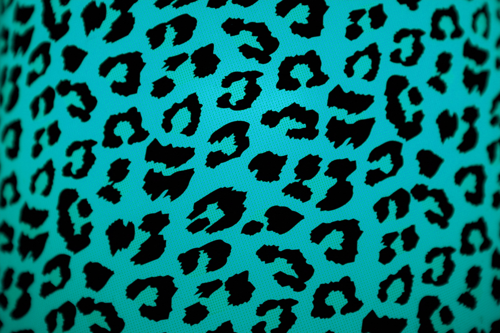 Leopard Print Blue Calf Hair Pumps - wide 6