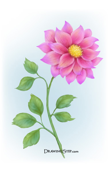 Free Simple Flower Sketch, Download Free Simple Flower Sketch png
