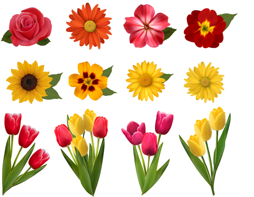 Vector beautiful flowers design set 03 - Vector Flower free download