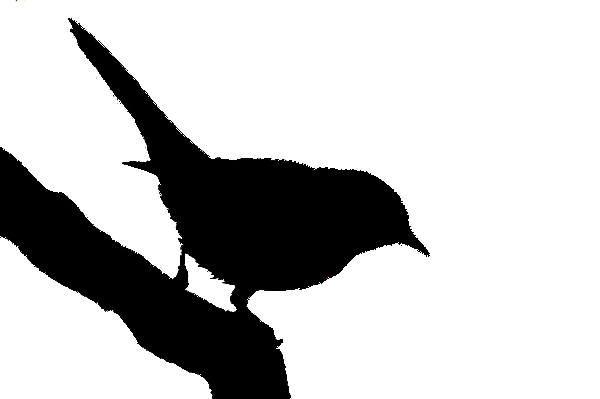 Spanish bird silhouettes � Birding In Spain Blog