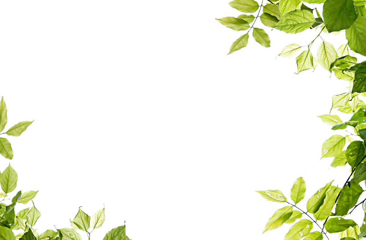 Free Plant Border Png, Download Free Plant Border Png png images, Free