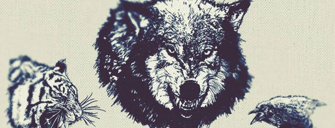 Angry wolf vector graphic - Free Vector Download |