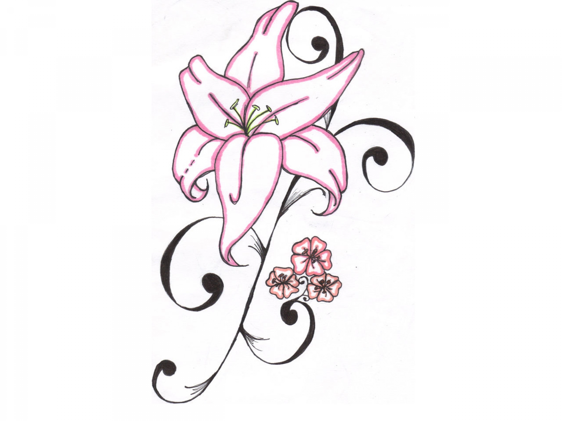 Free Cartoon Lily Flower, Download Free Cartoon Lily Flower png images