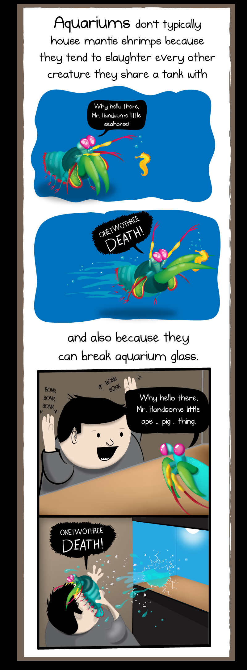 Why the mantis shrimp is my new favorite animal - The Oatmeal