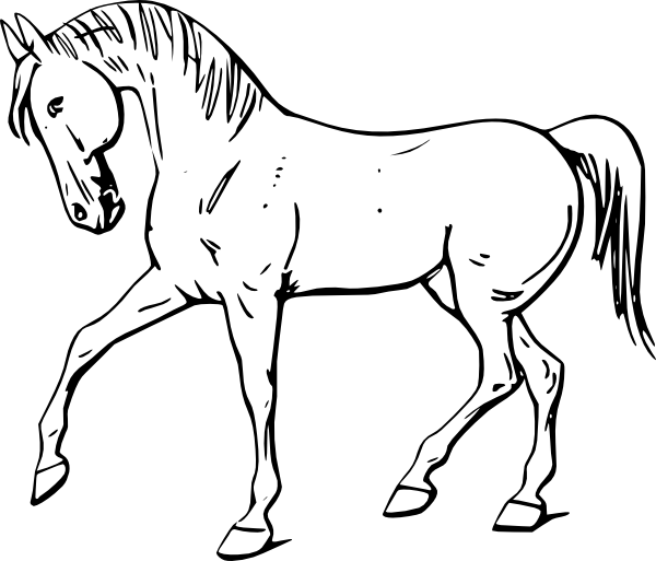 Walking Horse Outline Clip Art at Clipart library - vector clip art 