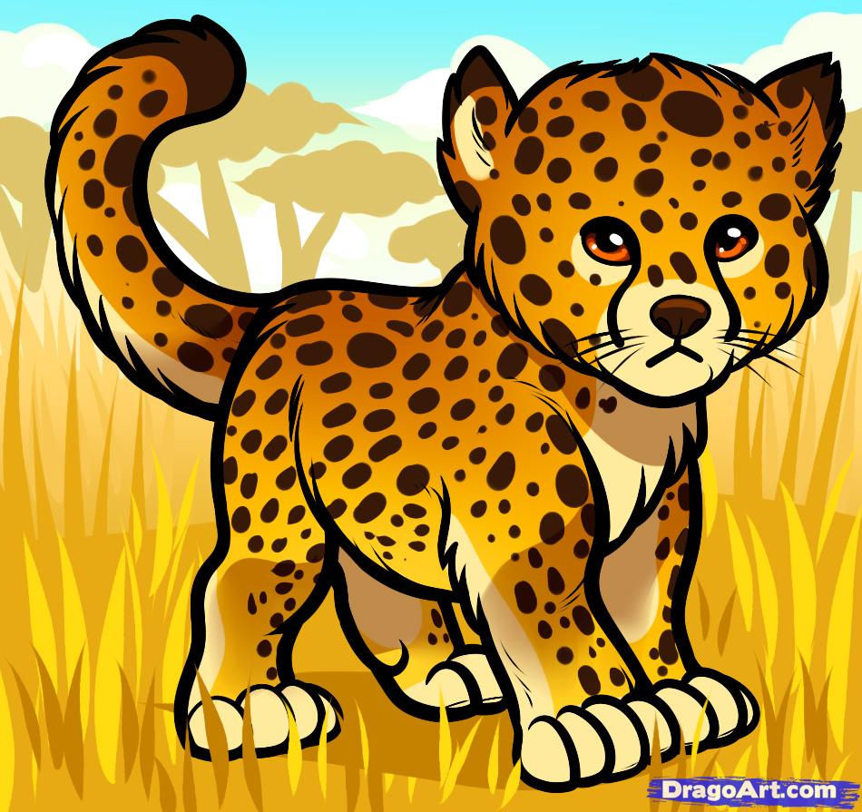 How to Draw a Baby Cheetah, Baby Cheetah, Step by Step, safari 