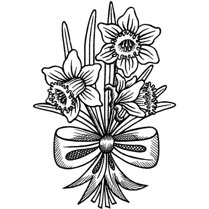 Featured image of post Line Art Daffodil Drawing Tattoo 606x800 botanical sketches and other stories daffodil days