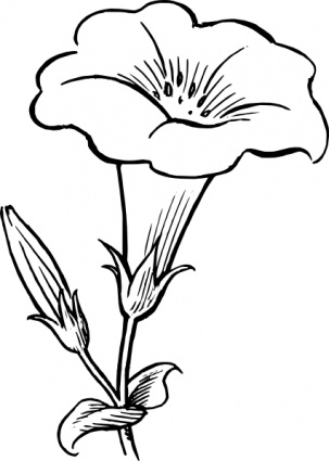 Flower Clip Art Outline - Clipart library