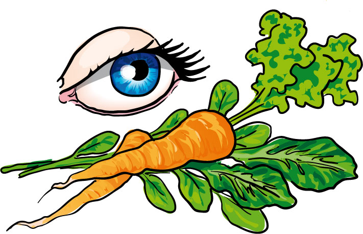 Healthy Food Clip Art Images  Pictures - Becuo