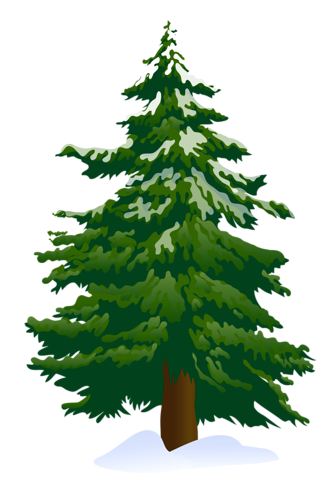 Green Pine Tree PNG Clipart