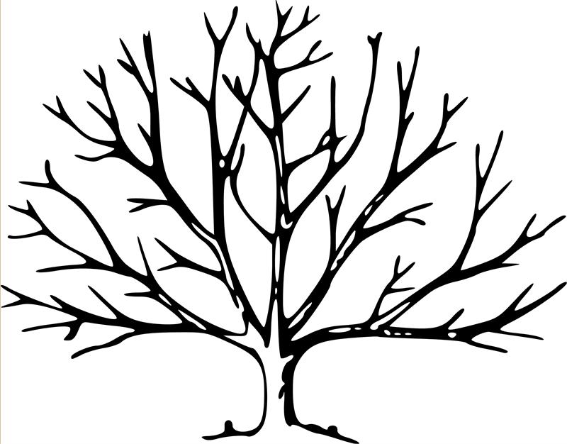 Bare Tree Template Printable Tree Stencil for Art and Crafts