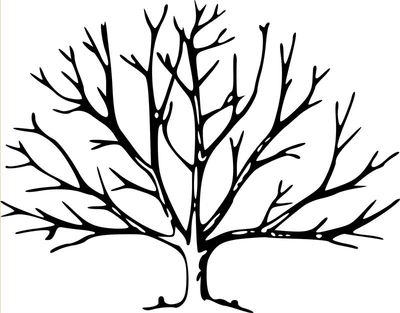 Bare Tree Template Printable Tree Stencil For Art And Crafts Bare Tree Template Printable Tree Stencil For Art And Crafts