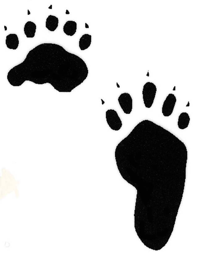Foot Print, Free Bear Foot Print png images, Free ClipArts on Clipart