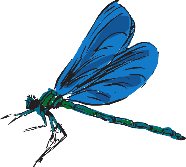 Dragonfly 3 Clip art - Animal - Download vector clip art online