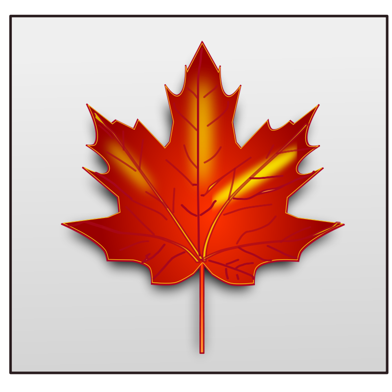 Maple leaf Free Vector 