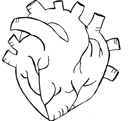 Pix For  Drawing Of A Real Heart