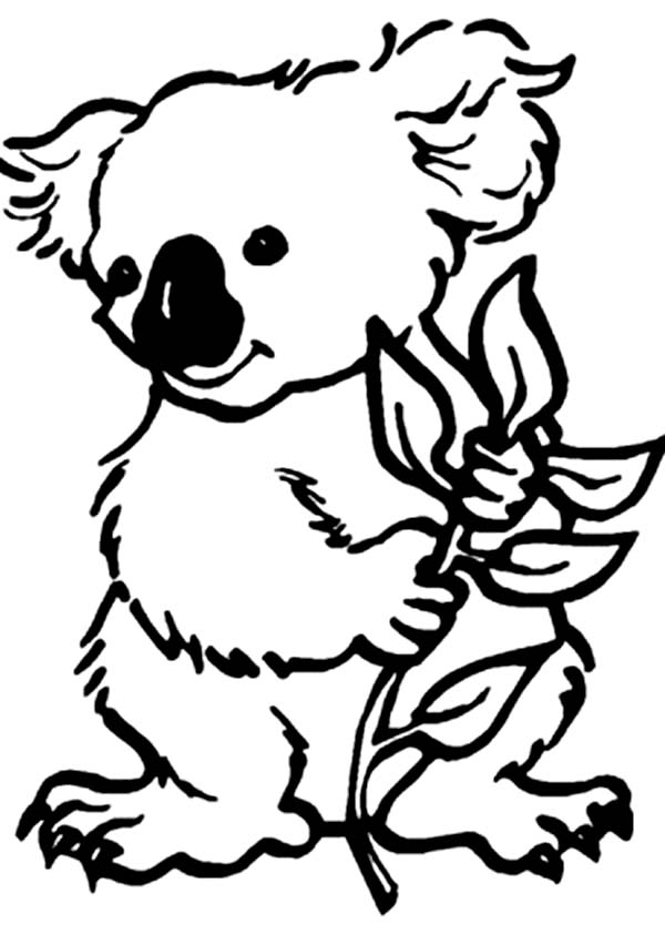 Cute Koala Bear Coloring Page: Cute Koala Bear Coloring Page 