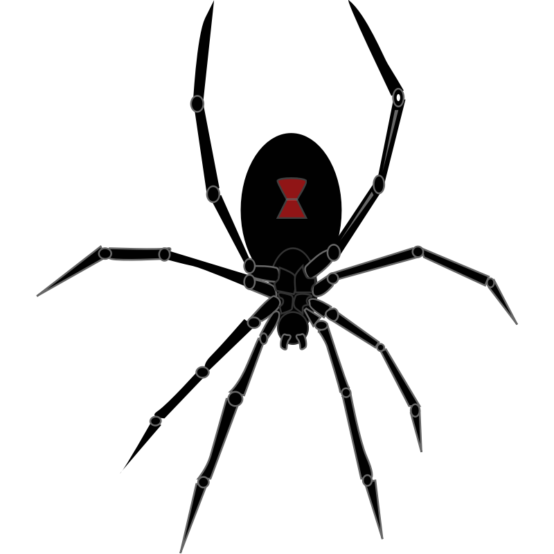 Clipart - Black Widow Spider