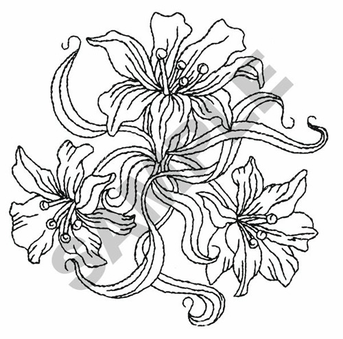 Free Flower Outlines, Download Free Flower Outlines png images, Free