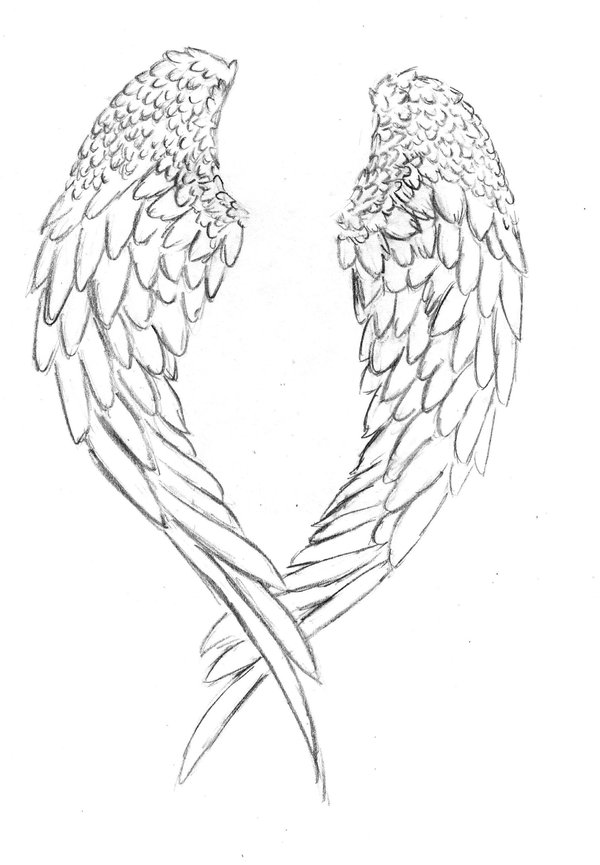 Best Tatto Design: Angel Wings Tattoo Designs