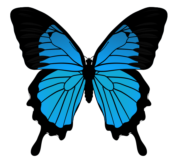 Featured image of post Cool Butterfly Drawings : They are also great subjects for art to enhance their beauty.