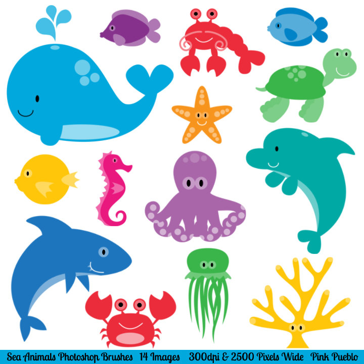 Popular items for sea creature 