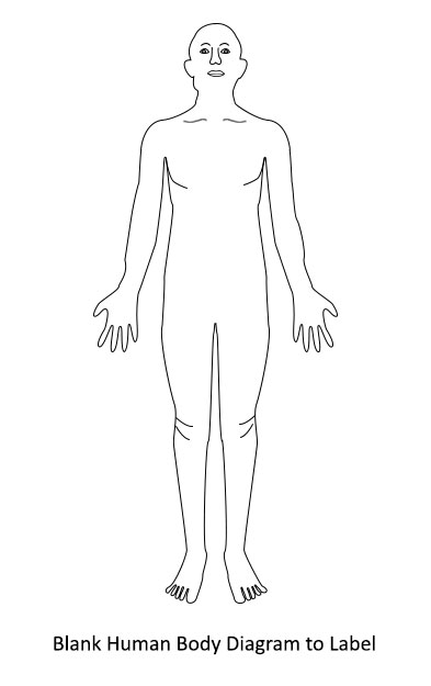 Free Blank Body, Download Free Blank Body png images, Free ClipArts on