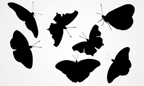 25 High Quality Vector Butterfly for Free Download | Naldz Graphics