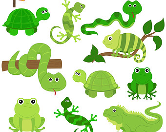 Popular items for reptile clipart 