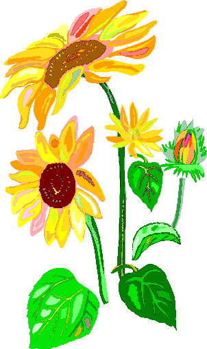 free black and white clip art sunflowers - photo #20