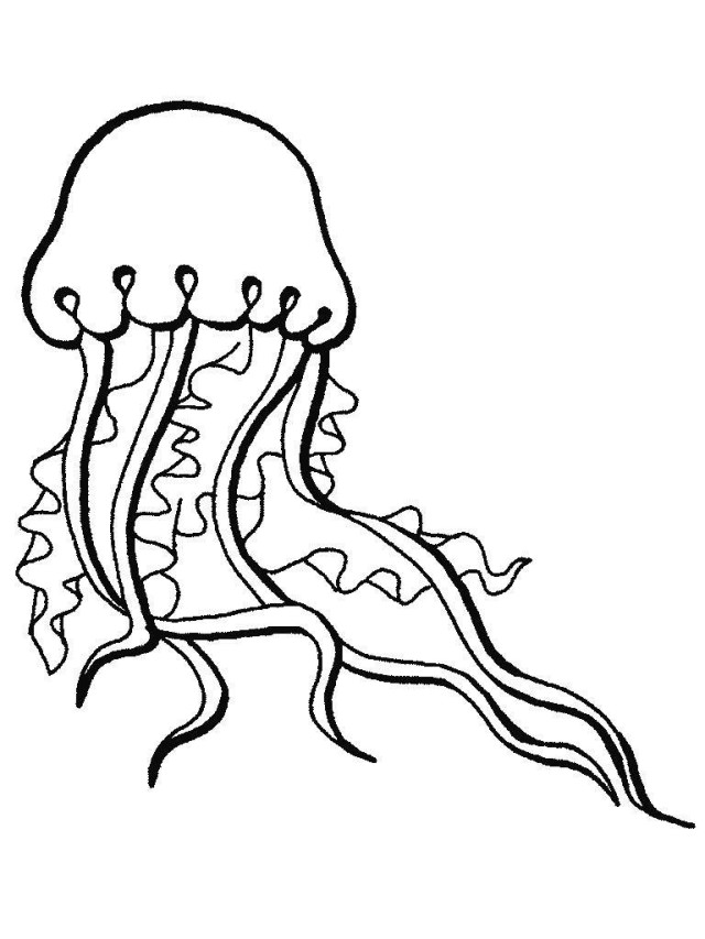 Educational Ocean Animals Colouring Pages For Kids Inspiring Clip Art