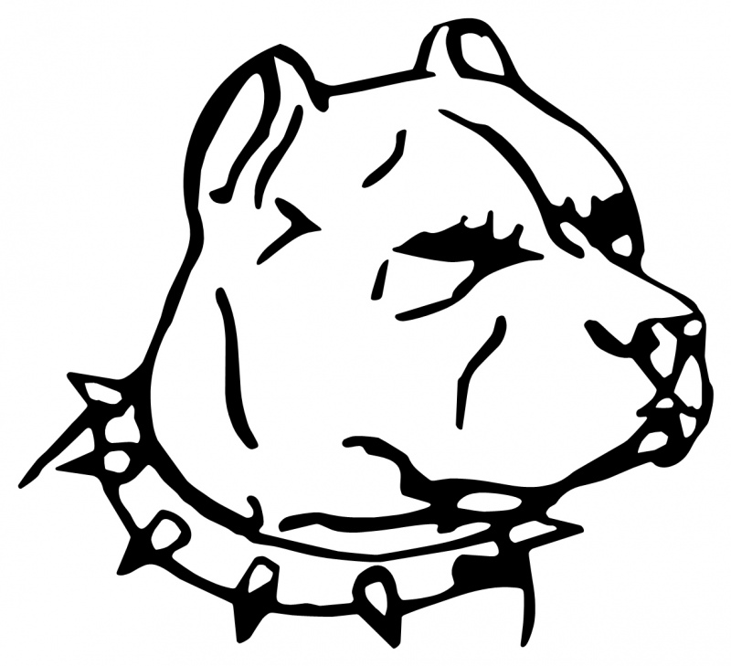 Free Cartoon Bull Terrier, Download Free Cartoon Bull Terrier png