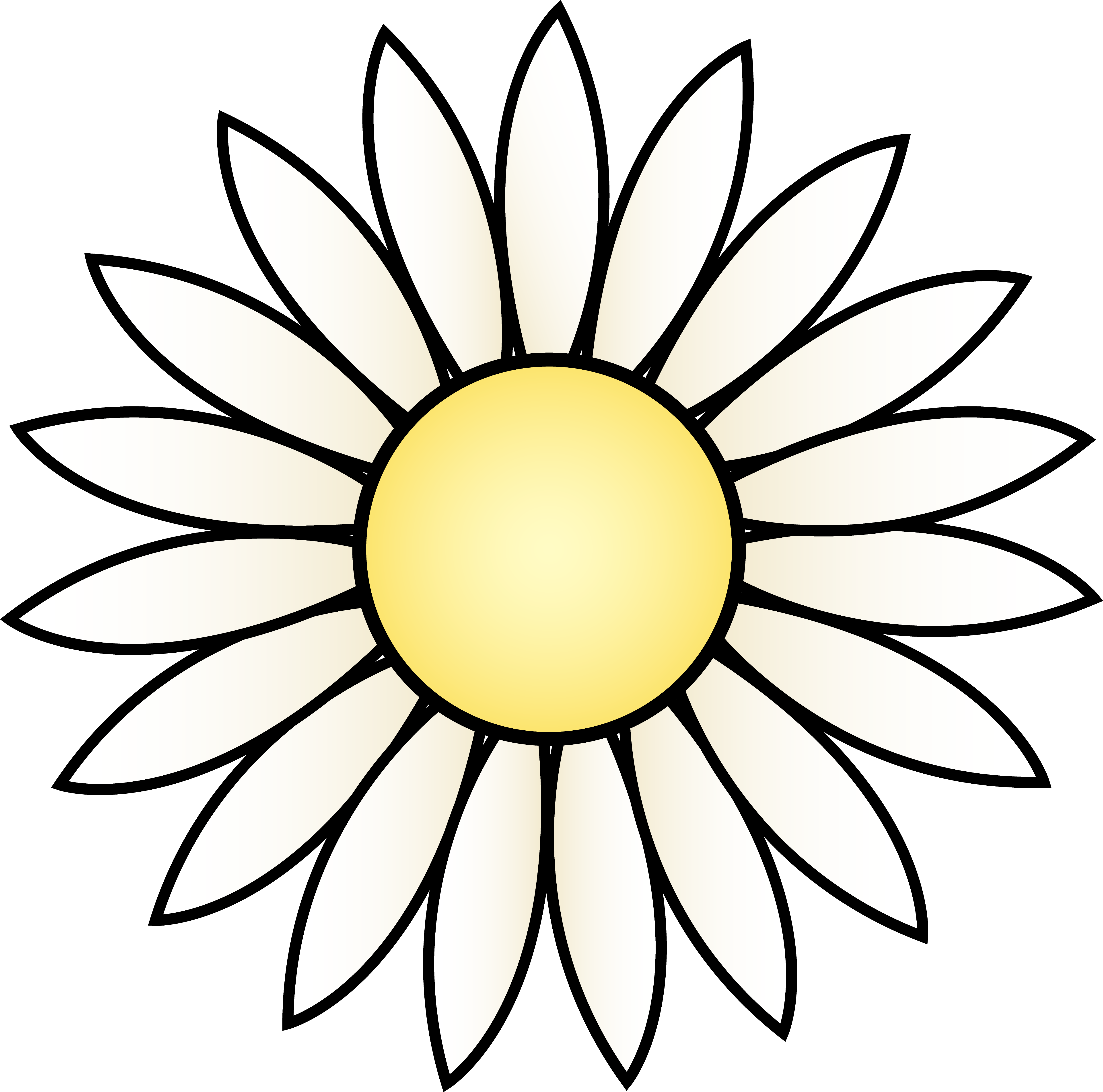 White Daisy Flower - Free Clip Art