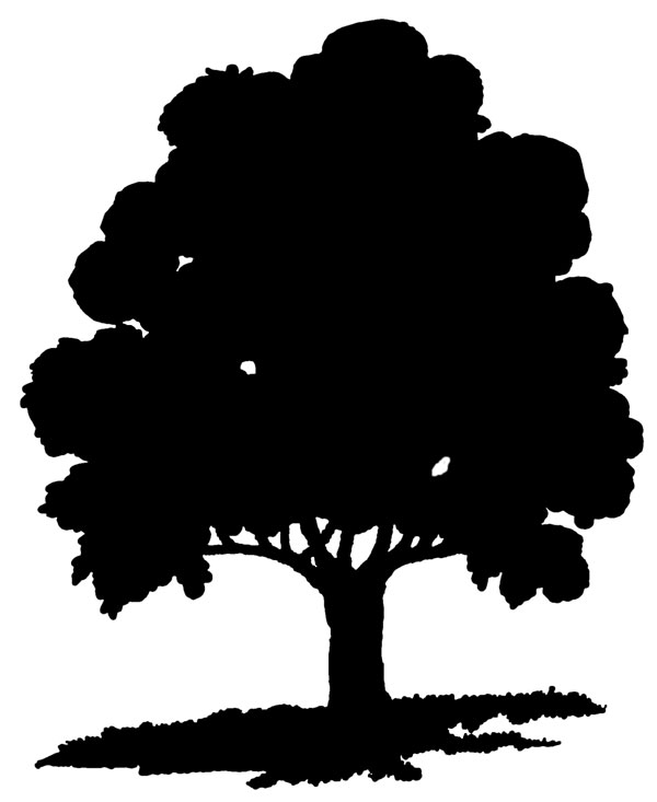 OAK TREE SILHOUETTE Clipart Free - Clipart library