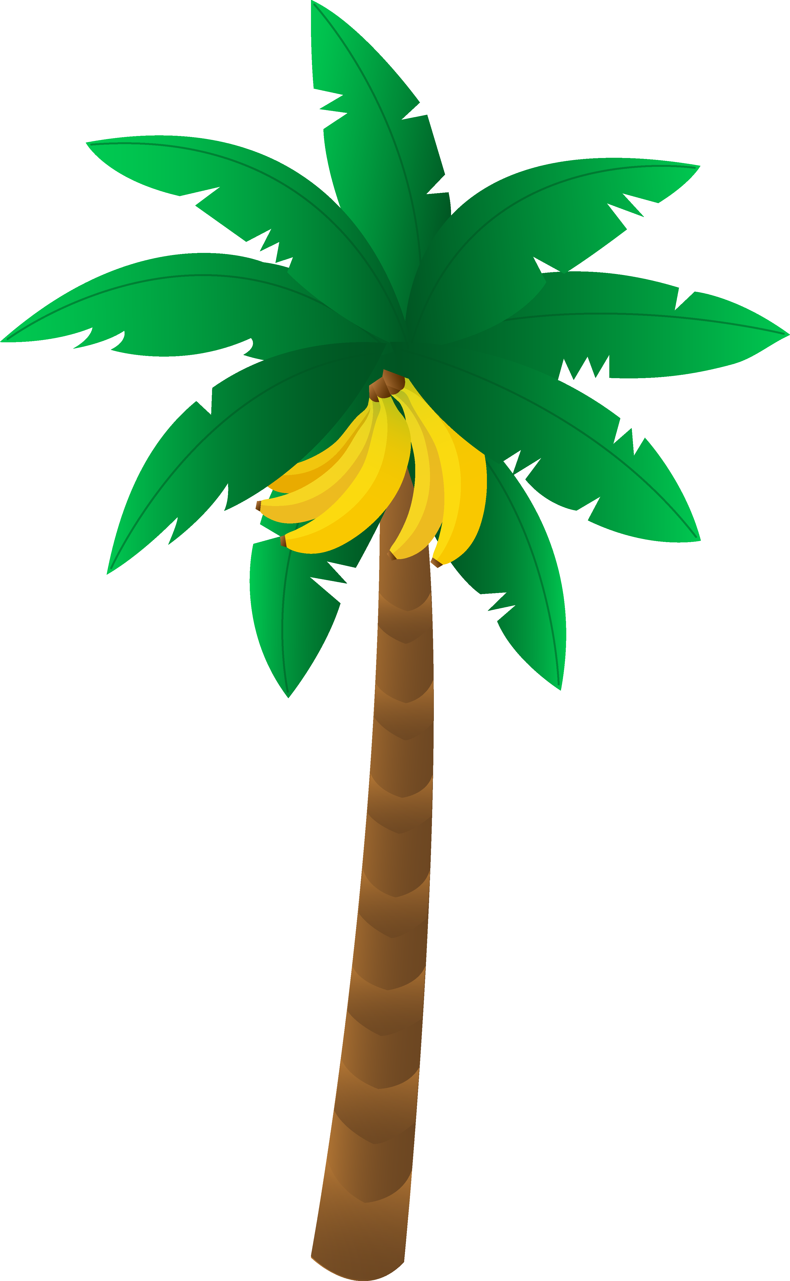 Tropical Banana Tree - Free Clip Art