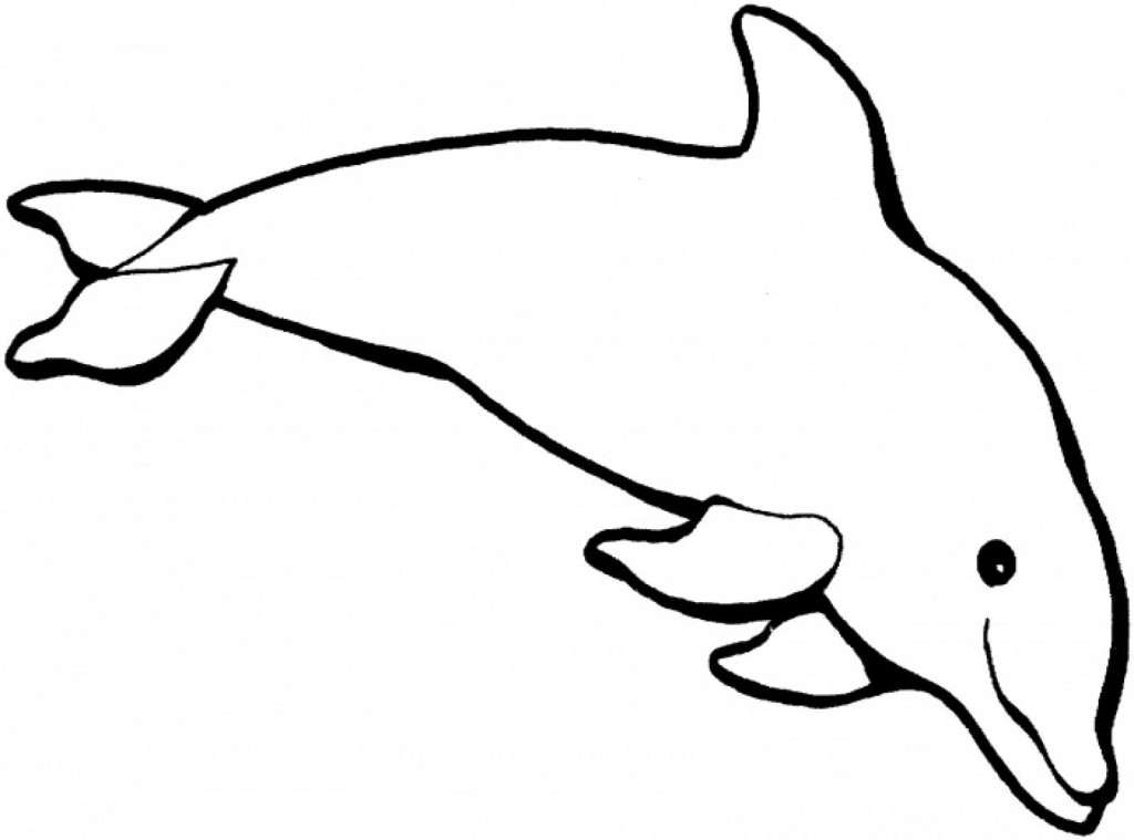 Free Printable Dolphin Pictures, Download Free Printable Dolphin