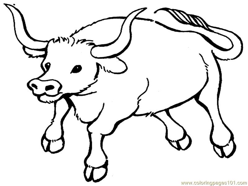Coloring Pages Bull (Mammals  Bull) - free printable coloring 
