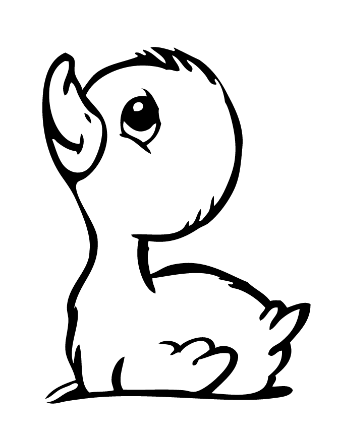 cute baby duck drawing - Clip Art Library