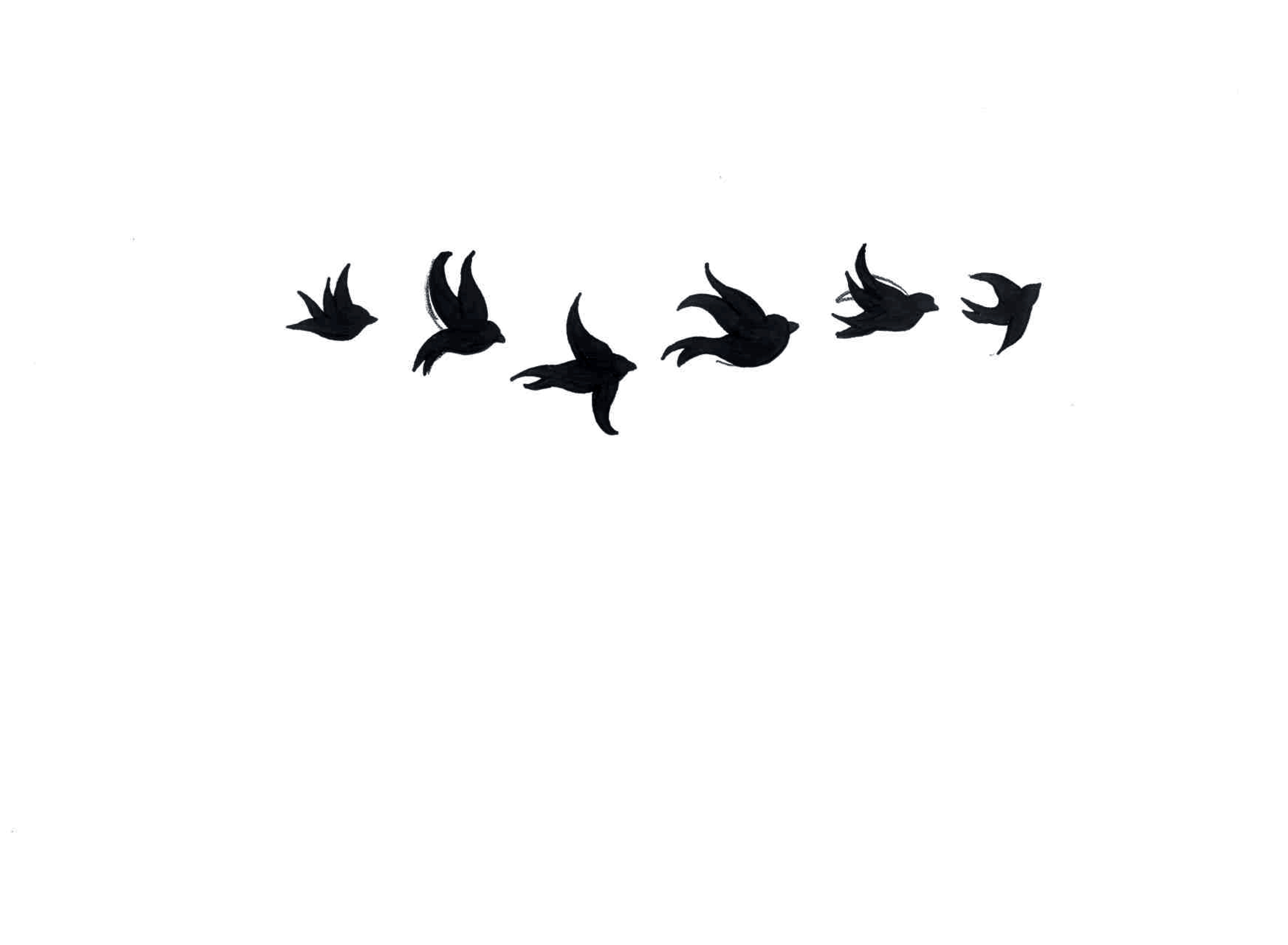 birds flying tumblr quote