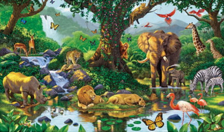 jungle real wild animals - Clip Art Library