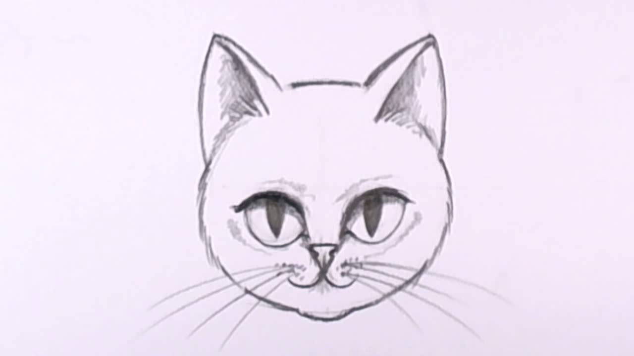 Featured image of post Images Of Drawings Of Cats