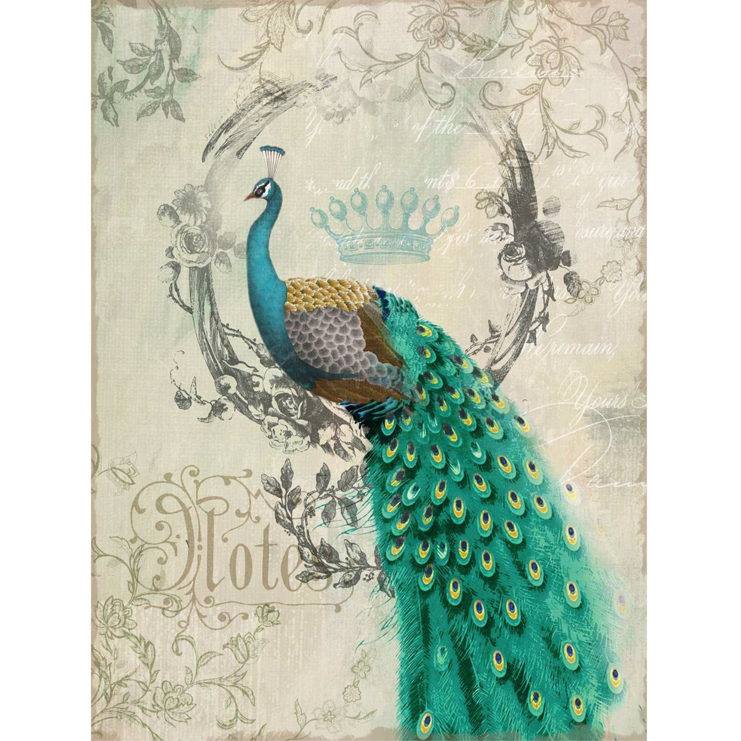 Free Peacock Images Art, Download Free Peacock Images Art png images