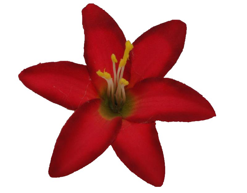 Free Red Flower Clip, Download Free Red Flower Clip png images, Free