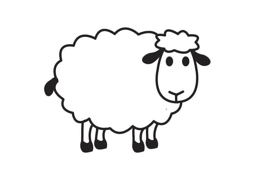 Cartoon Drawing Of A Sheep 