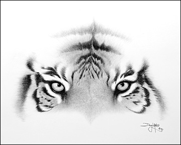 Free Tiger Eye Black And White, Download Free Tiger Eye Black And White png  images, Free ClipArts on Clipart Library