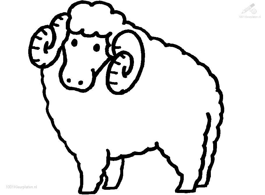 Sheep Coloring Pages - Free Coloring Pages For KidsFree Coloring 