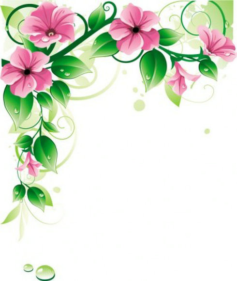 Beautiful Flowers Vector 8 | Free Vector Download - Graphics 