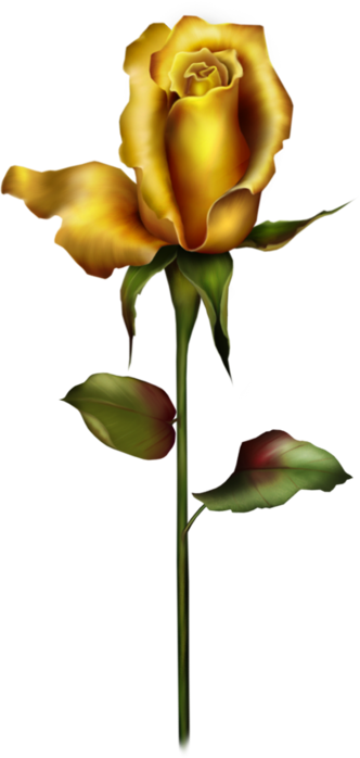 clipart red rose bud - photo #36
