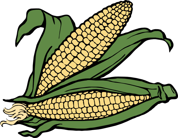 Corn clip art - vector clip art online, royalty free  public domain